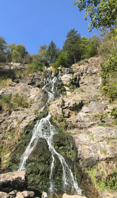 466CA399-D0A2-4966-80FF-8ECEF9634FAD