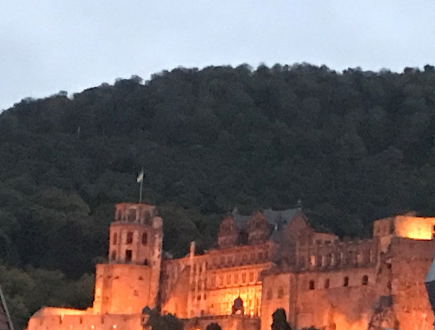 56313827-ED1E-4E6D-928A-36E1B0E6F63C