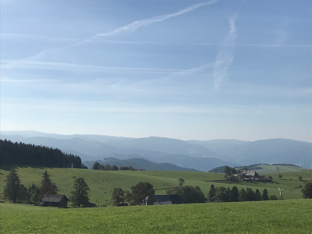 68F42706-C268-4145-89ED-FECC2A110A1A