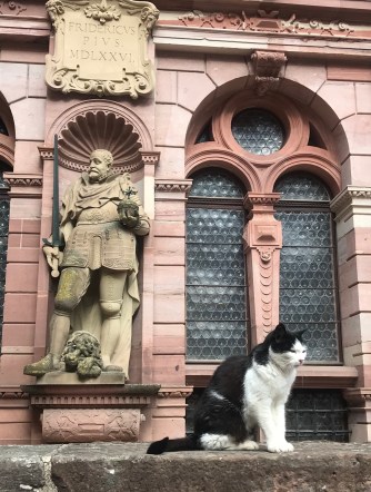 8CA1FDF8-2C2A-465C-9DE6-76F40A38AA59