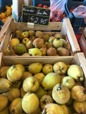 B565D45C-3F2F-4249-AF02-B5D0E0B8443E