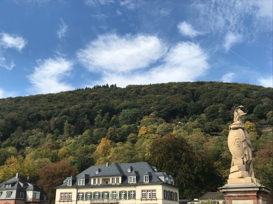 BBF90E06-A33F-4517-AE38-E622F94C0F52