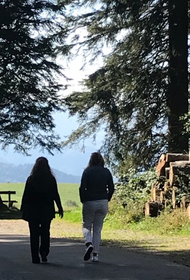 DBF39A44-74AF-4CDE-9E4B-A3C33D5A1057