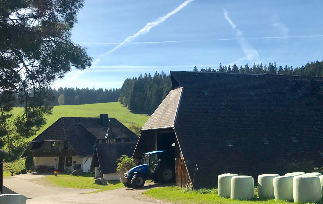 FDE7C6E3-78E9-4C85-8FF8-E5B0E5FECFC4