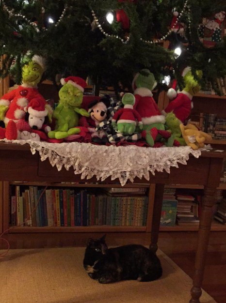 1C964998-6B8E-40FB-949C-7E705CD41EB7