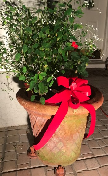 94DA6E90-853A-4F4B-9F5D-1038BB6F8806