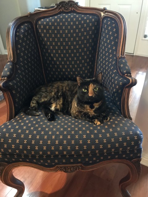 F50A1415-7D7C-4C91-BA33-393F3BD75F06