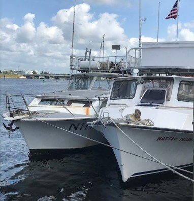 1CDB4E4C-0D7C-4F7B-8FE1-C6E479007CD6