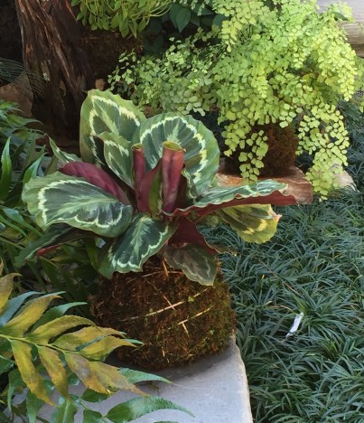 3BEB875D-B8C6-4C09-8F70-03E4F2DEA8CA