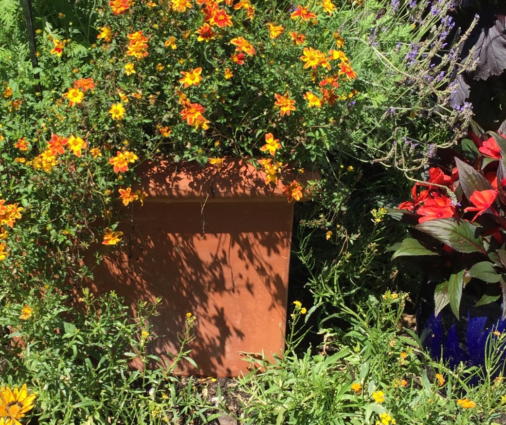 60DF1C45-BC54-4B93-823C-457066AC5870