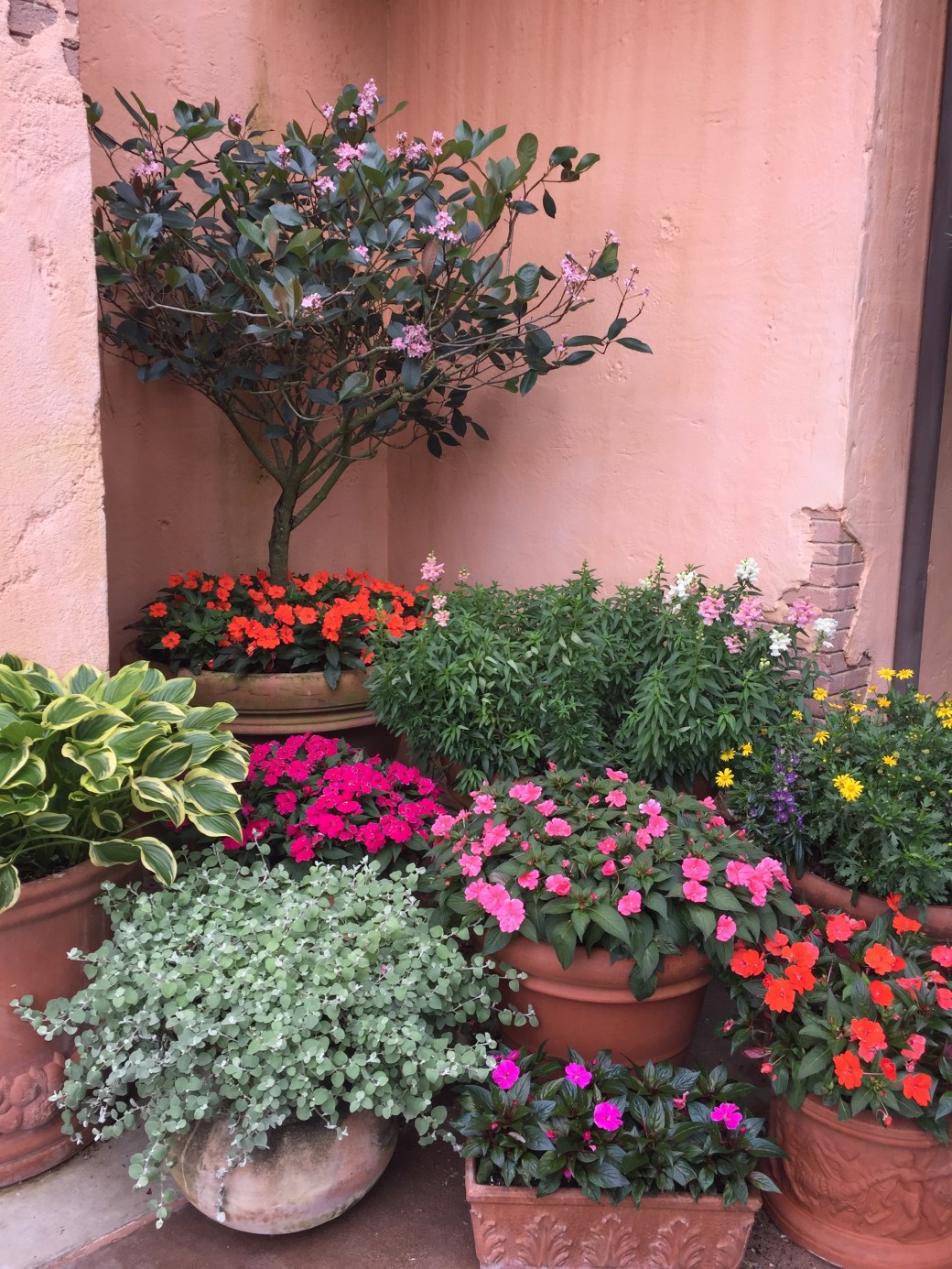 6729E75E-8F15-49DE-9C15-984982AA22AB