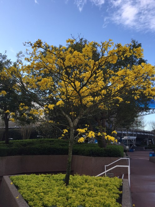 7429C1C6-B378-4830-AD0D-F2DE30D73765