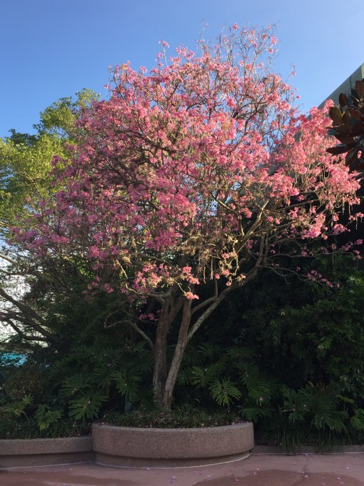 7AE79B6D-C166-4D52-AD0B-094AE4A522E7