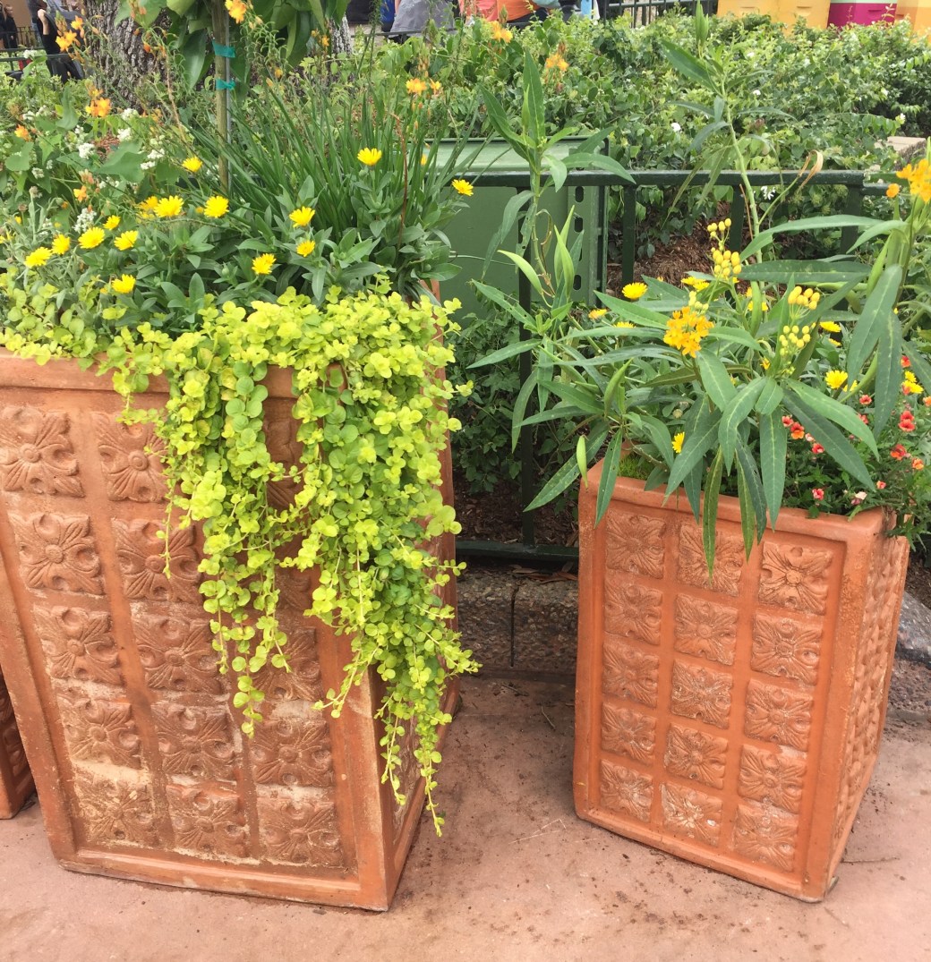 7FB64B22-1B0E-4BD6-9B99-6C29C46332A1