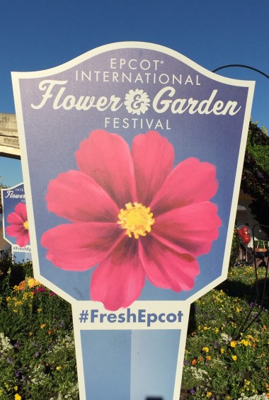 81958D25-8F9A-48BA-81B7-F1C2FE7DB444