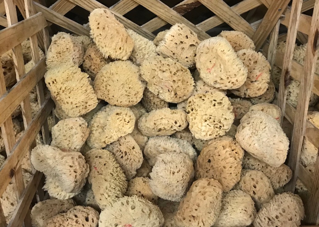 854C7D8E-9DAD-4AA6-9FDF-2B8CD502FA48