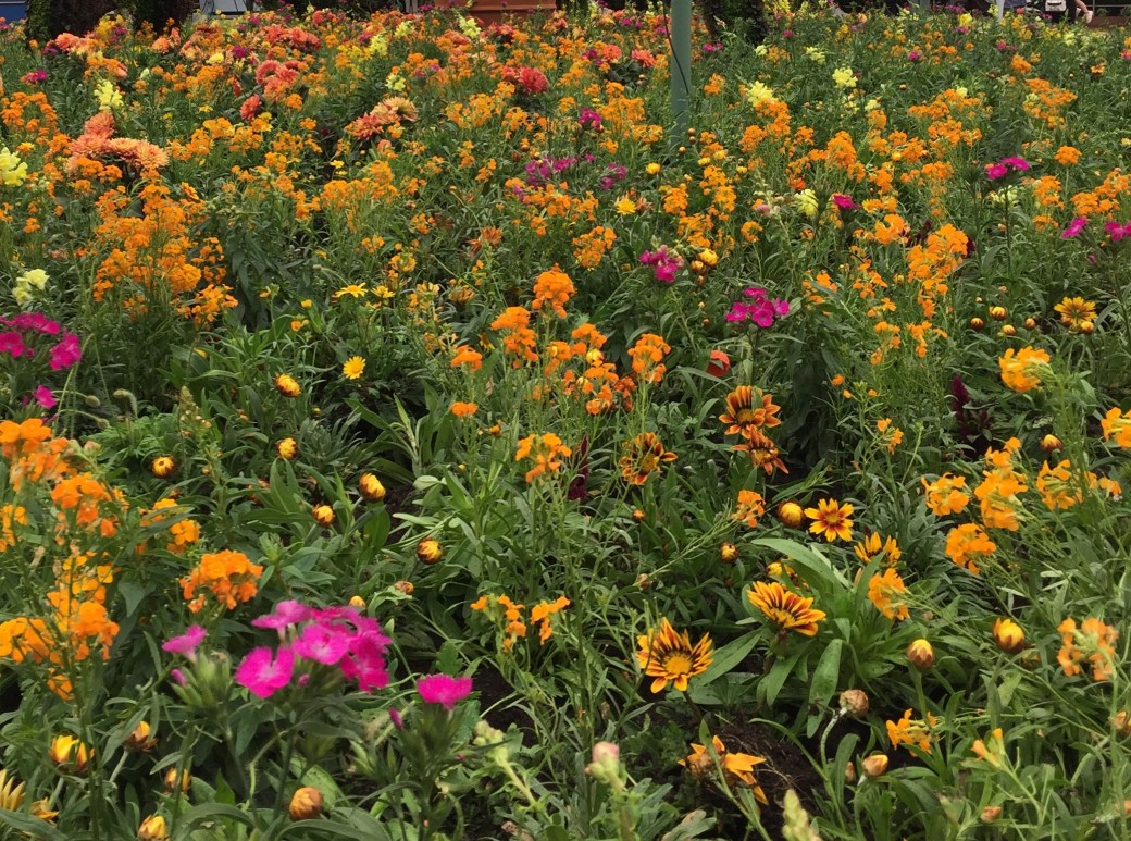 86DFCD48-8A05-4C07-988A-DE788185494E