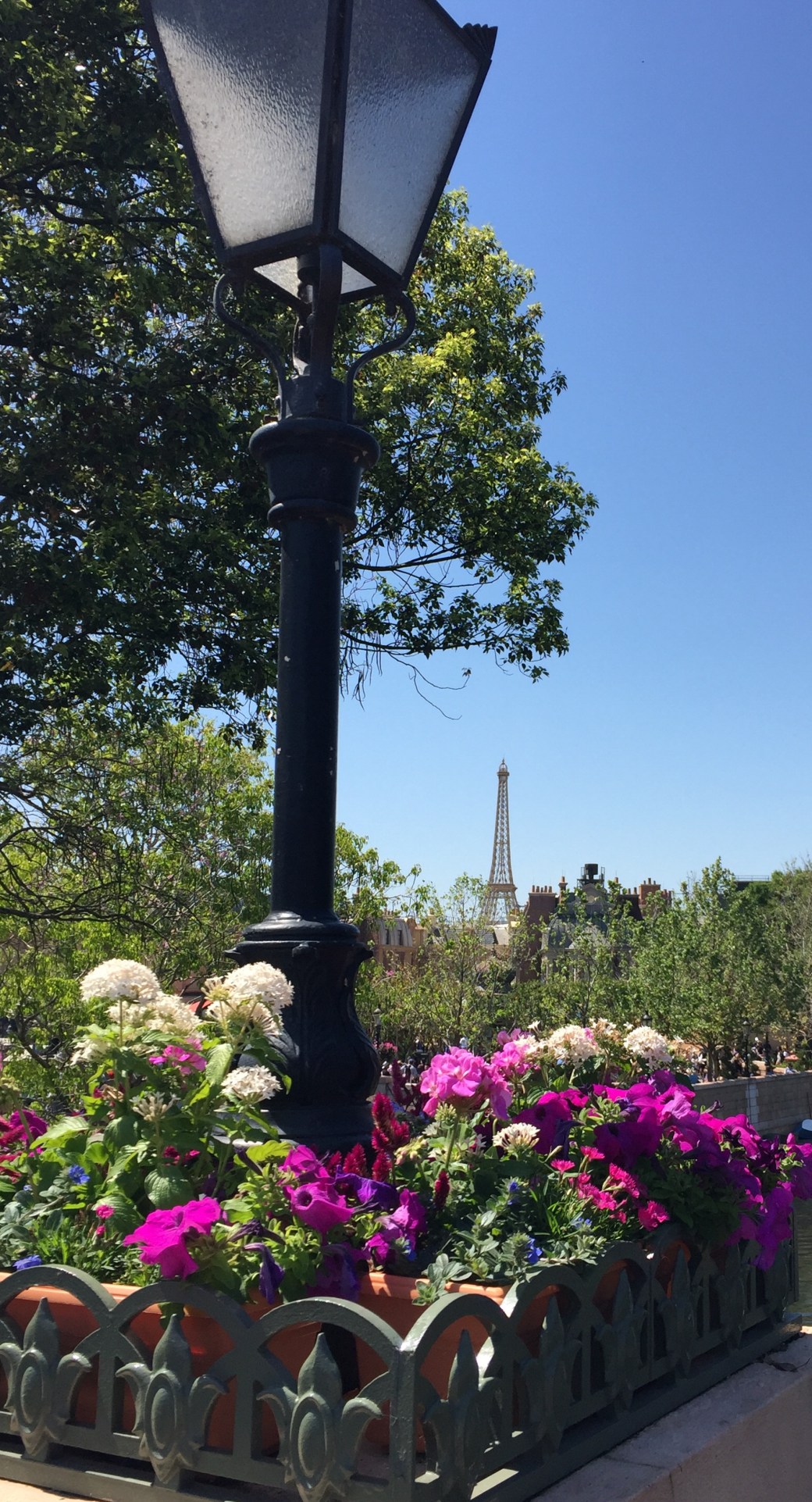 8DF2854D-802A-4355-AE89-7EB96E2F9910