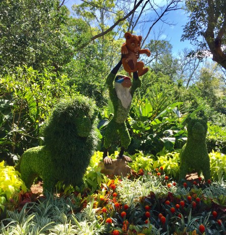 91080D2F-B914-45E5-88F9-69BD7D31B962