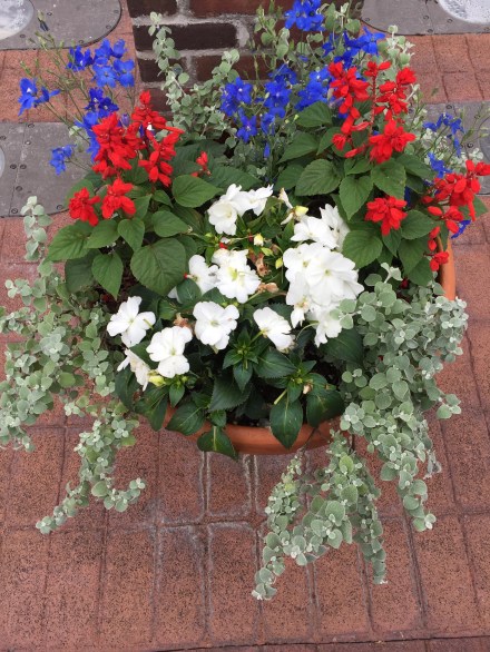 9268529E-2EC8-44BC-B3C0-5C6A0EBBD292