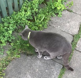 00692AAF-04AA-41D1-8F69-11A821B3A30C