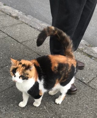 2CABE14C-E63E-478C-B7BE-353FF5E717FD