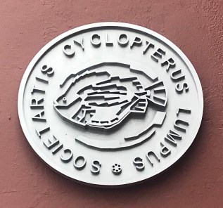 537D278D-CBD0-464C-94CF-6A28DA0A3CFD