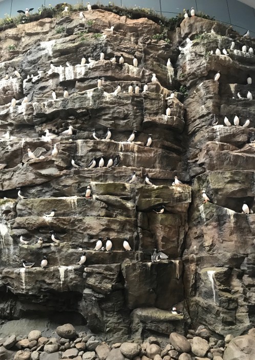 6F614172-8CA3-4634-9490-4BD61A4577AE