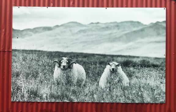 B443CBA2-EBA8-4133-B395-C461B2B9D76D