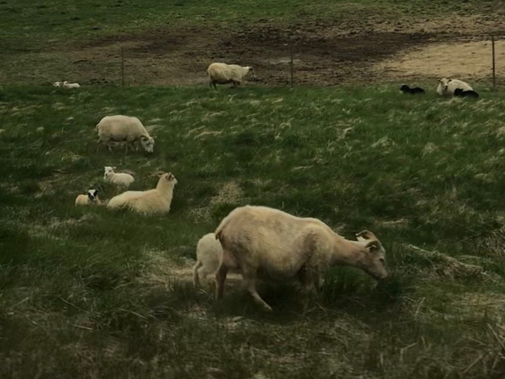 CC767343-5ABE-49E5-9FC7-3CBB5F168C80