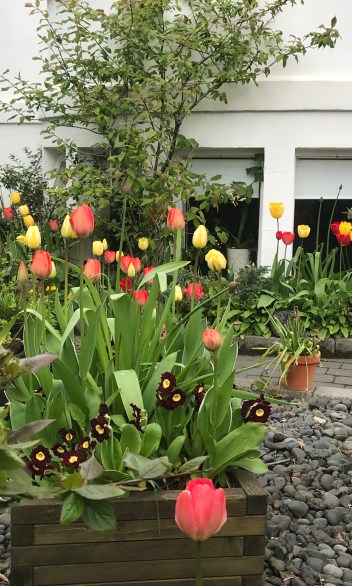 E3F88E84-FE04-44E5-8119-5742EAFE27A0