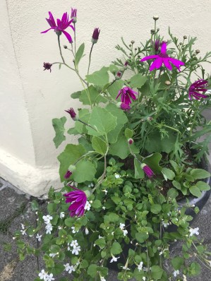 E7CA9BC8-9A9A-4CC1-B722-D44494B6D93B