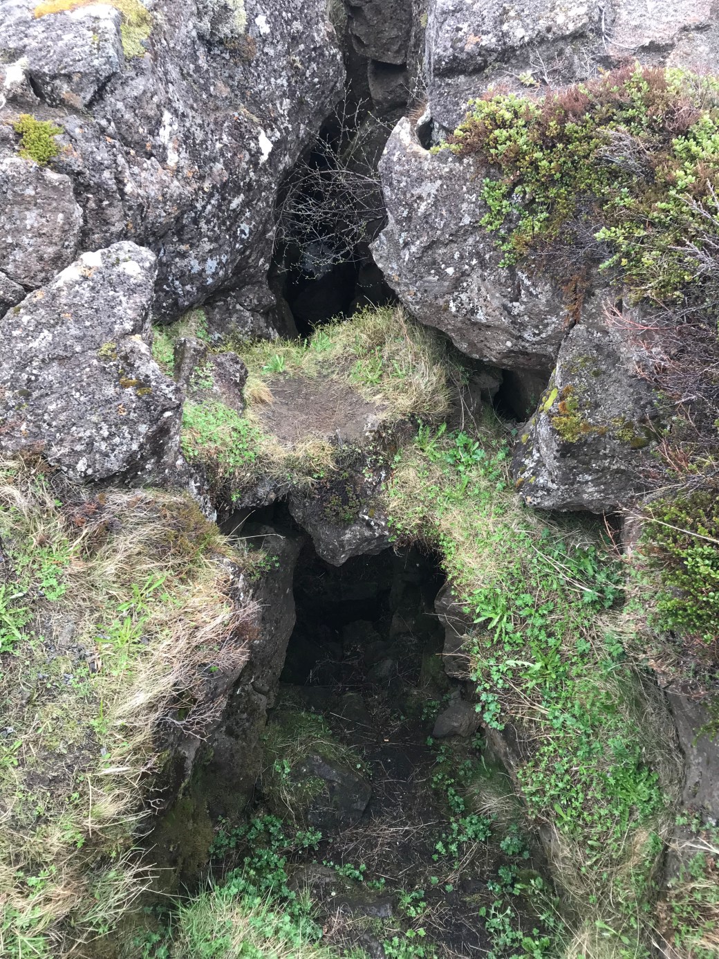 FF58CC1E-1CFE-4634-95B2-38FD2E8B038B