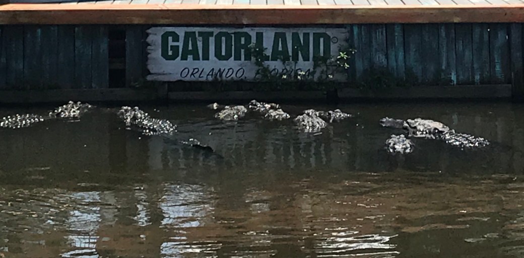 0F03F820-BB78-41C6-8A72-03CA5E13AD84