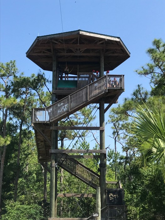 11E1421F-E3B6-4239-93EA-0B61243B47B9