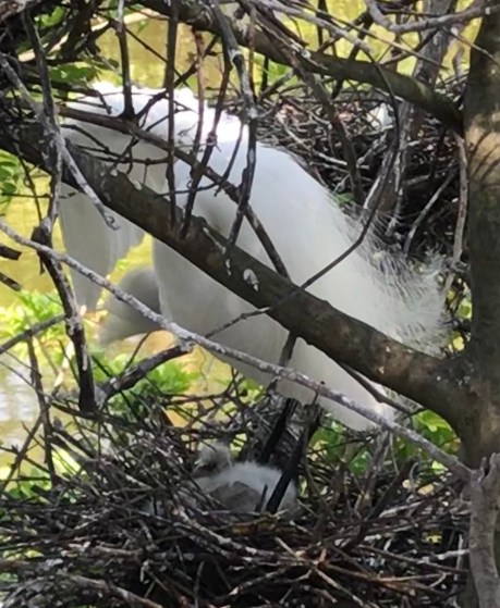 19BA7986-29F7-42EB-8C32-9942E5AAACBC