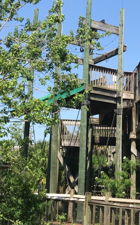 23DAA6D2-F689-47F5-A3DA-45B7F22BA2F5