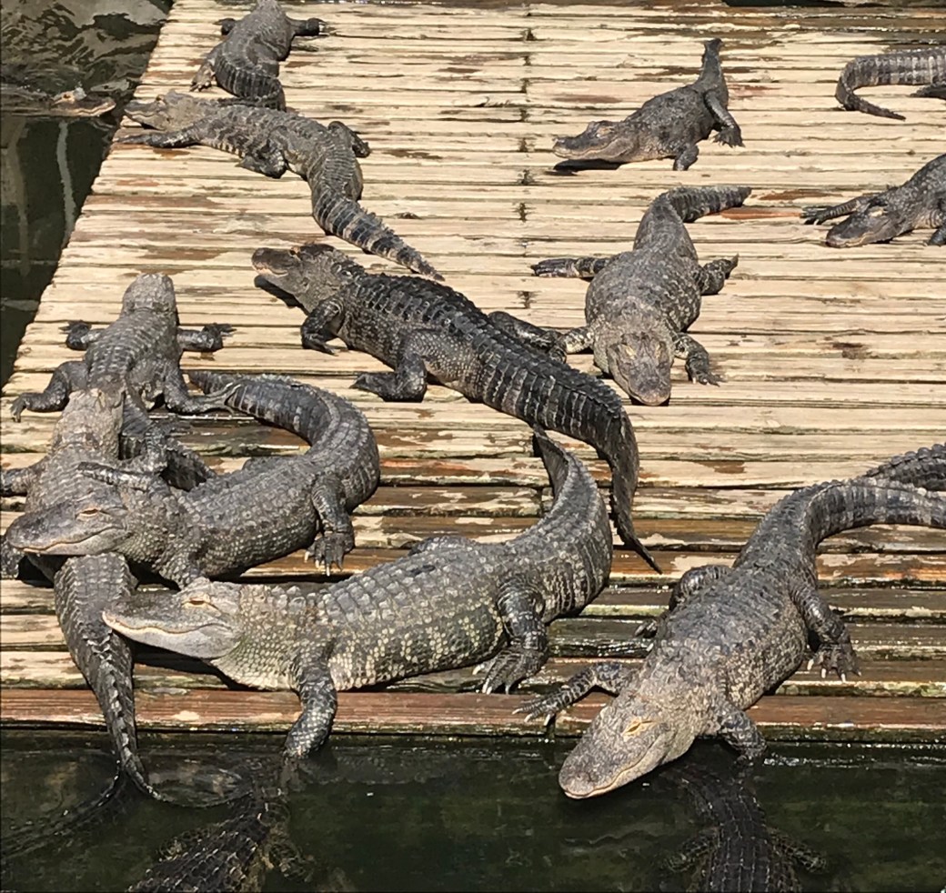 3124F793-16D3-4DEC-9771-98E6D88CB01E