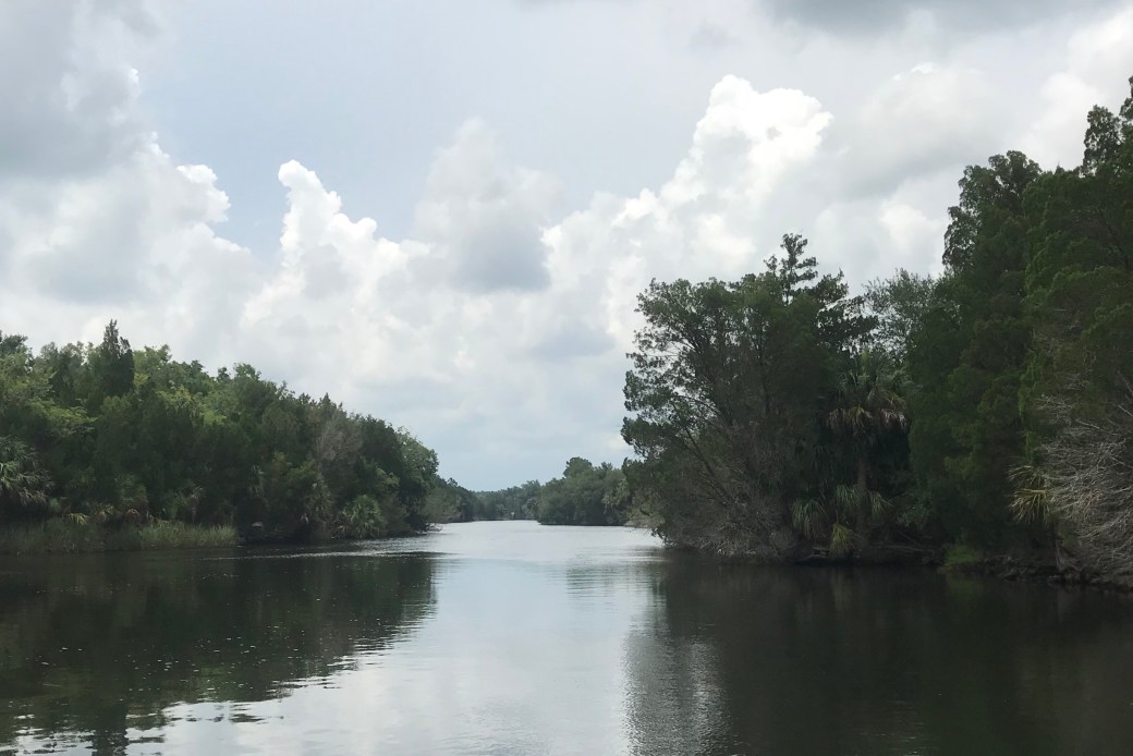 50576D01-F7EB-479A-BBA1-2A23378CA555