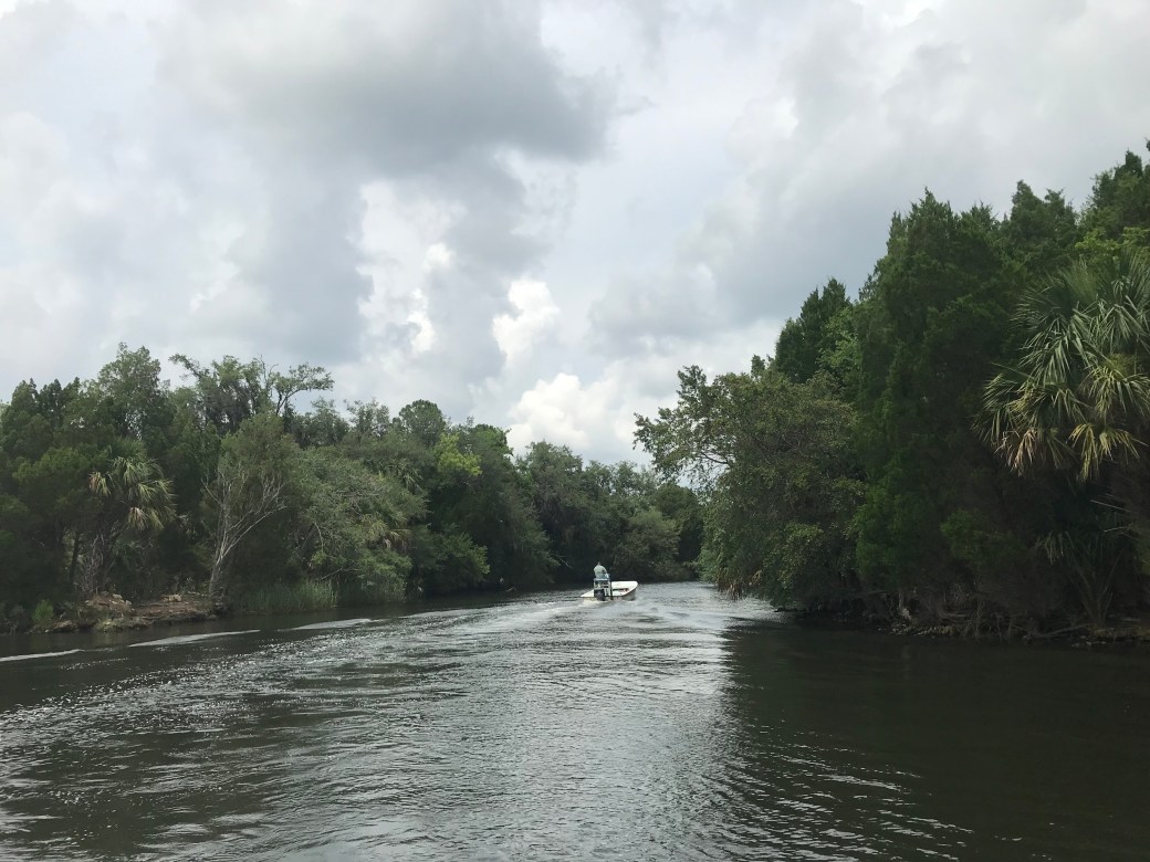 5BCD8622-407C-4185-9F33-82AC8B210380