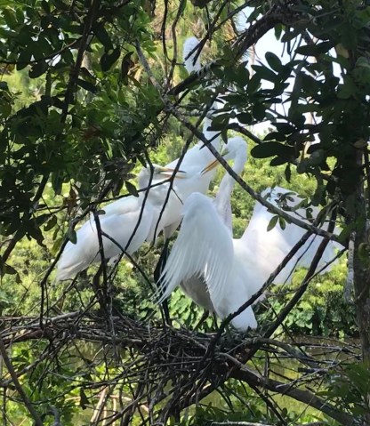 5FA9765F-1C2D-4747-8259-C16B927AAD54