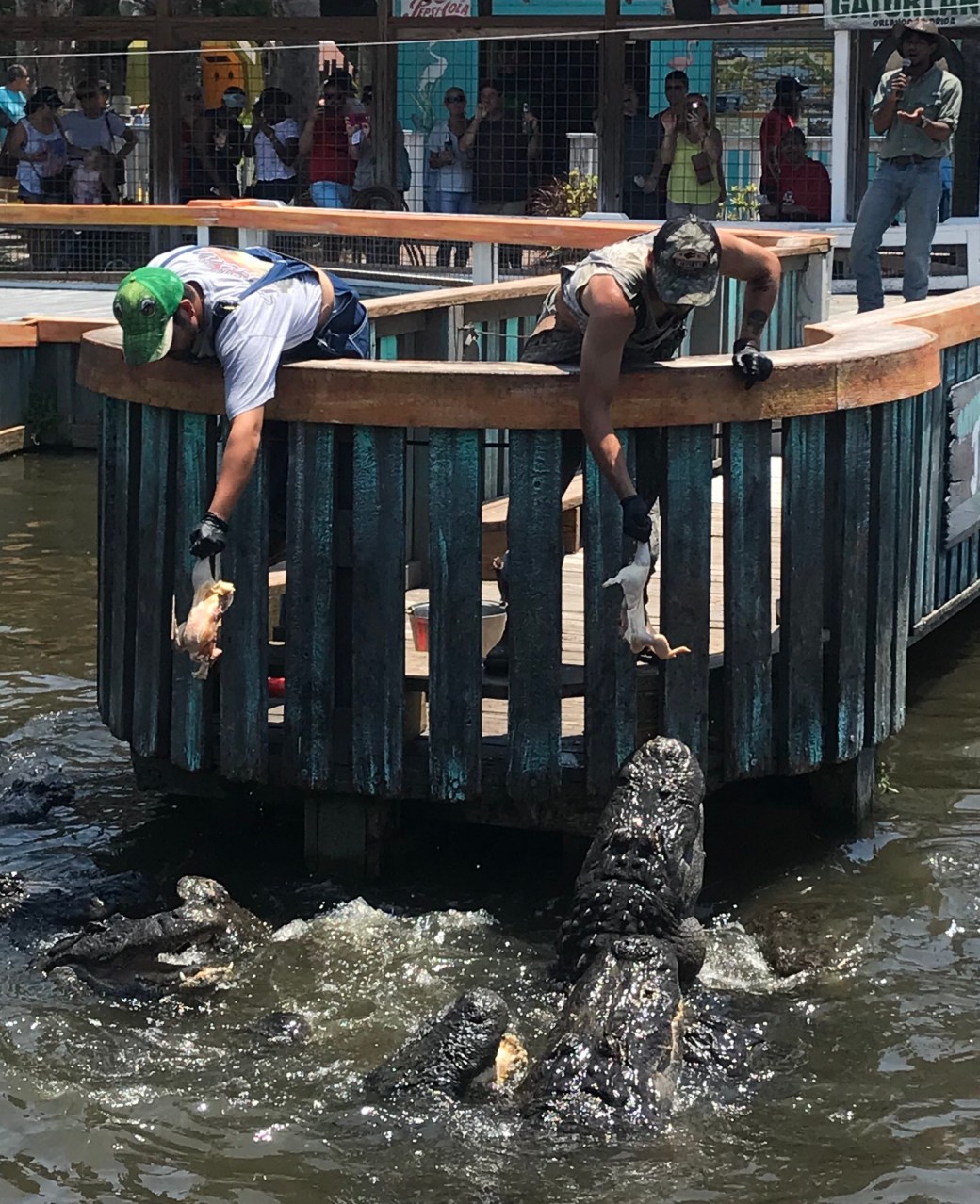 64EA59DC-B41E-4081-BDE5-D7CF777CF3E3