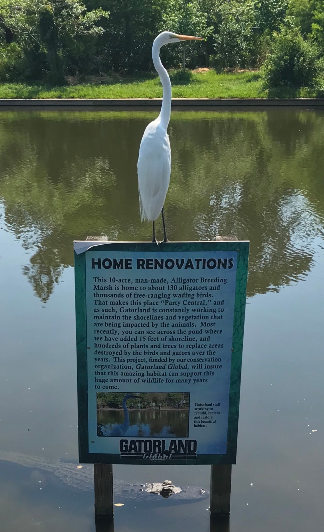 651CF74F-457E-4D87-8A17-C6D07420A269