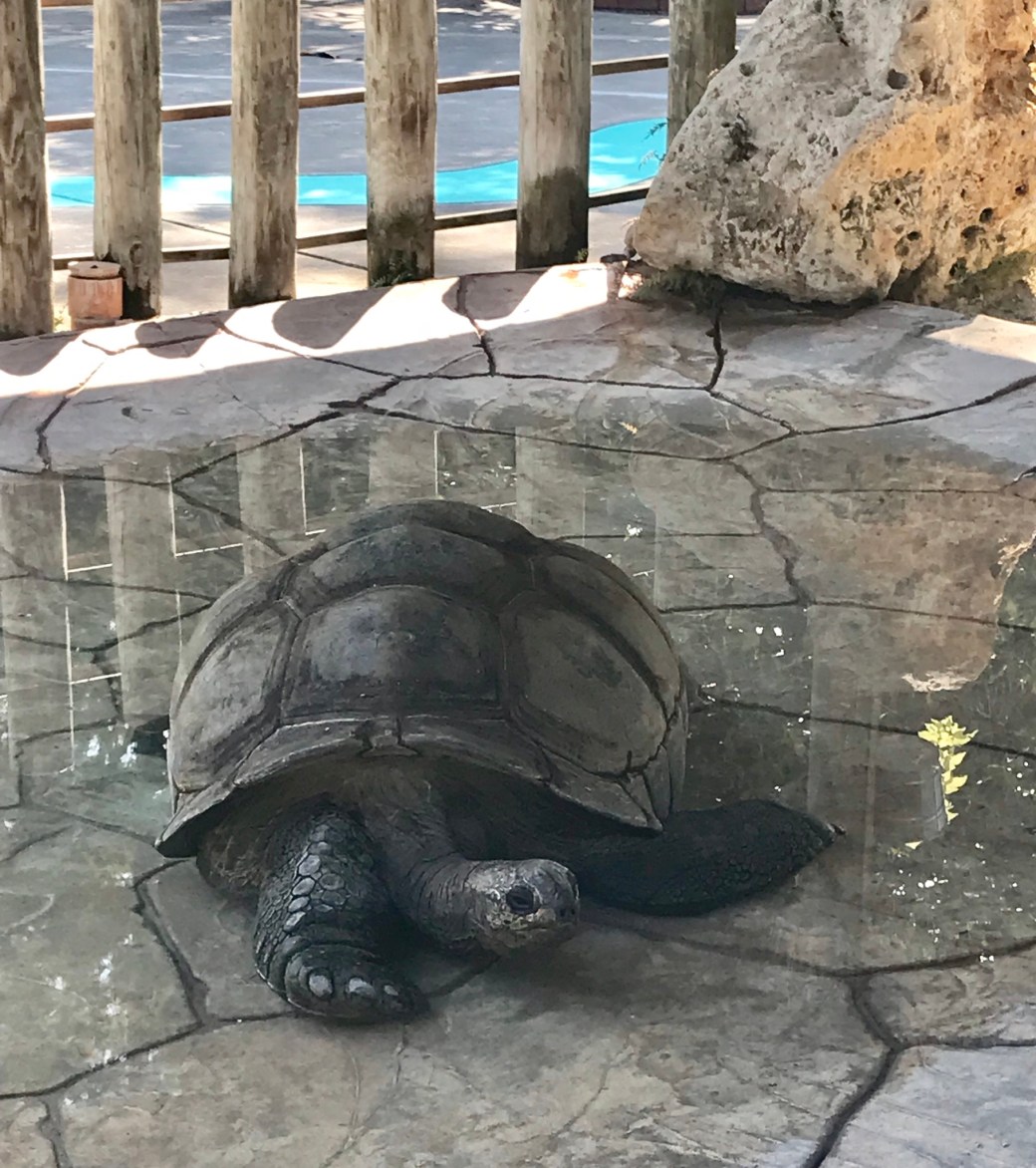 8A966BD5-CDA5-4082-87A8-BC07E236B565