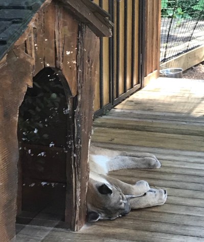 B91406DC-6767-4898-AB12-54F497D59803