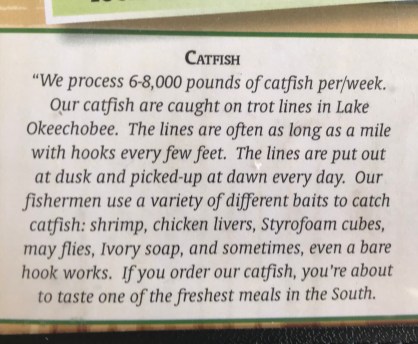 C223F393-57BE-415D-AEE2-1D060C02E499