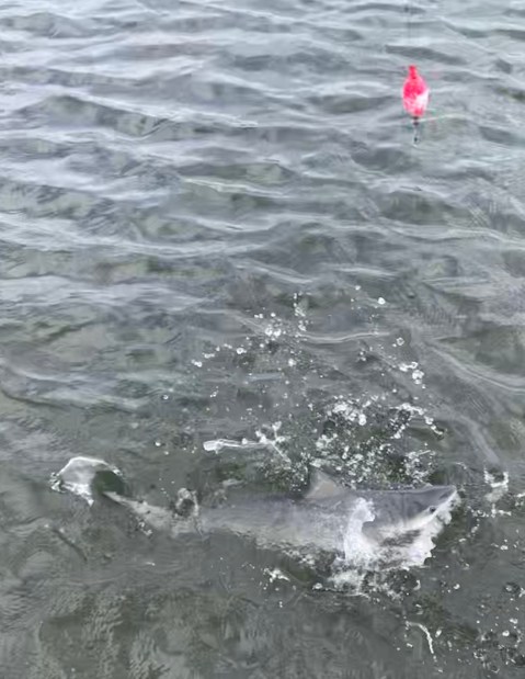 DEE6DFE4-3A5A-40CD-BF6D-205EC513B0AC