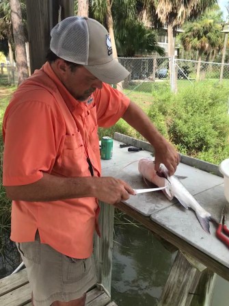 C83BD99F-2401-4792-B656-ED9513CF3BD6