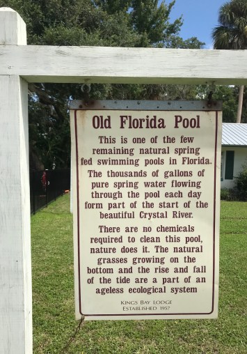 02915689-E279-4749-B41A-D7CA8FEB8E81