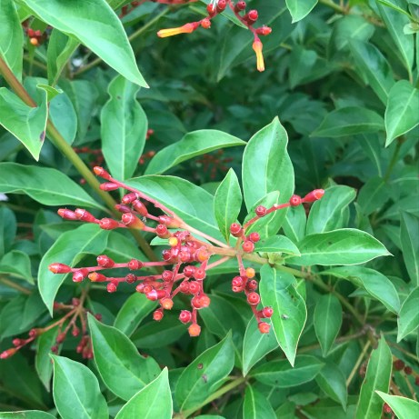 0B9EBE3B-59CE-424E-9003-3859057DD1FA